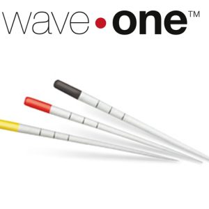 Dentsply WaveOne Paper Points